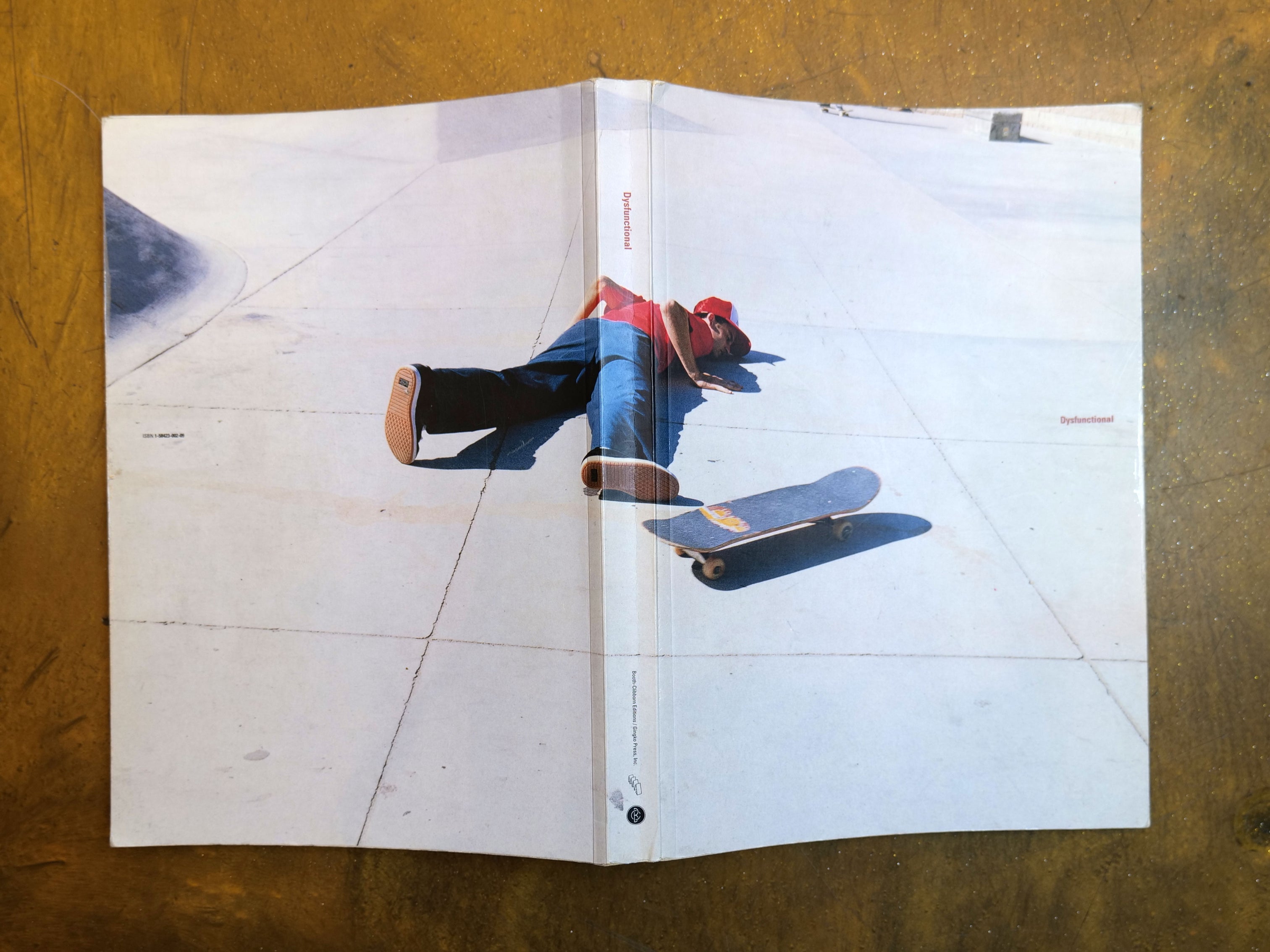 Dysfunctional Softcover Vintage Book - Aaron Rose – THE SURE STORE